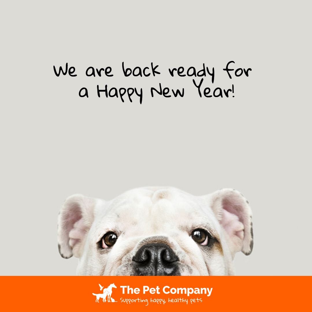 Hello all, we are back! We hope you all had a great Christmas and a Happy New Year! Orders are now being processed for all of you who have purchased over the Christmas period. 💝