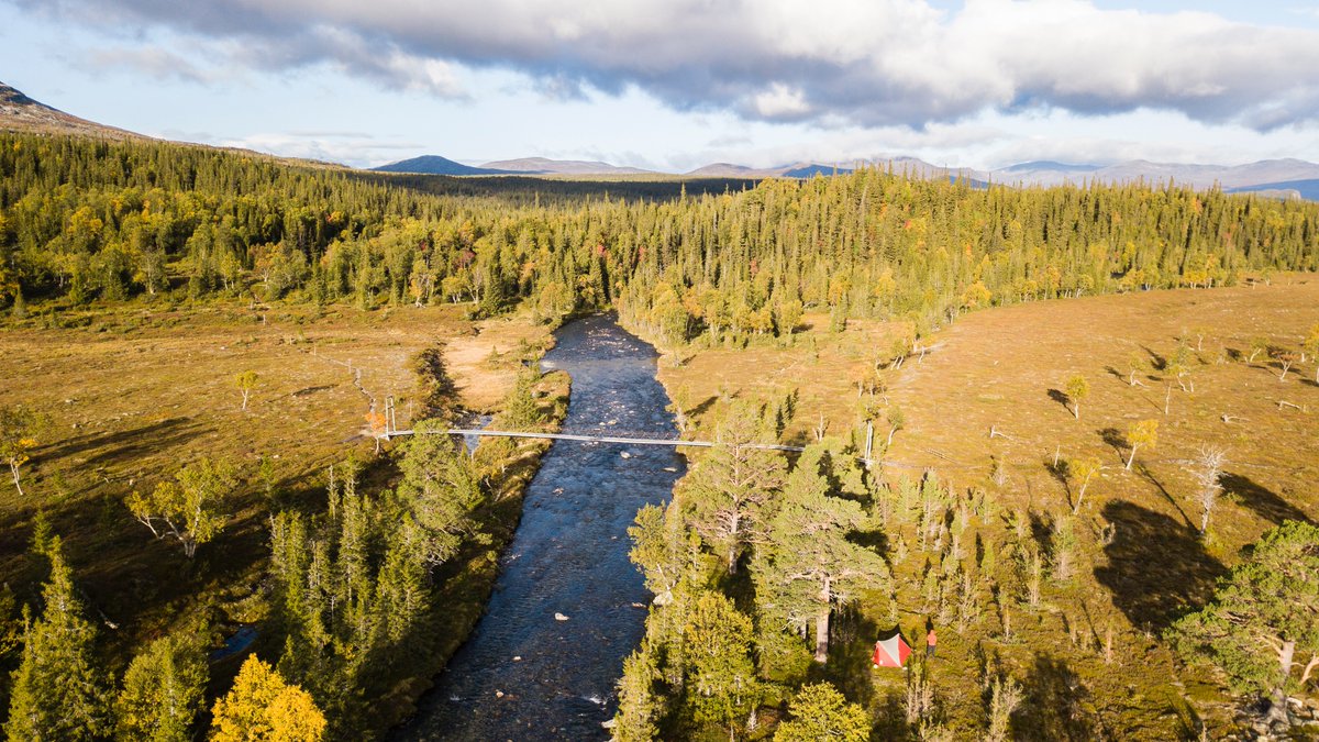 Hendrik Morkel is no longer tweeting tweet media