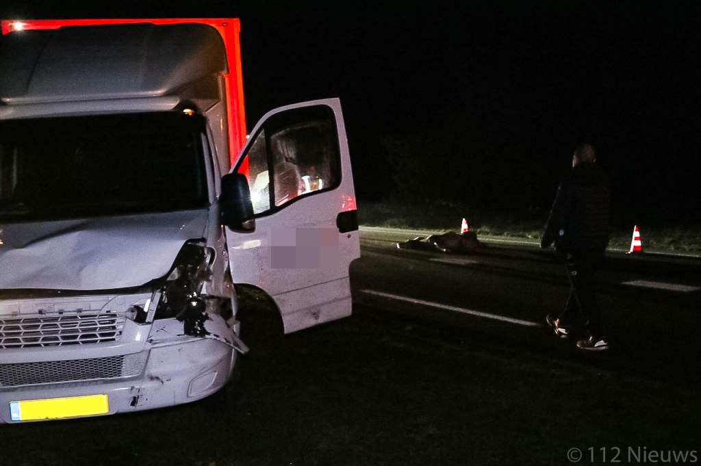 De klap was dusdanig hart dat het dier de aanrijding niet overleefde...