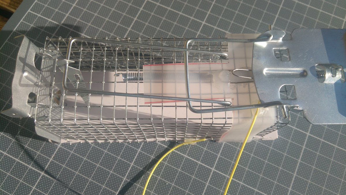 Karl_OE1KEB's tweet photo. I have now made my mousetrap IT-capable. Get an email when a mouse is caught. #LoRaWAN #lora #TTN #nodred https://t.co/p9xg7K9Bpq