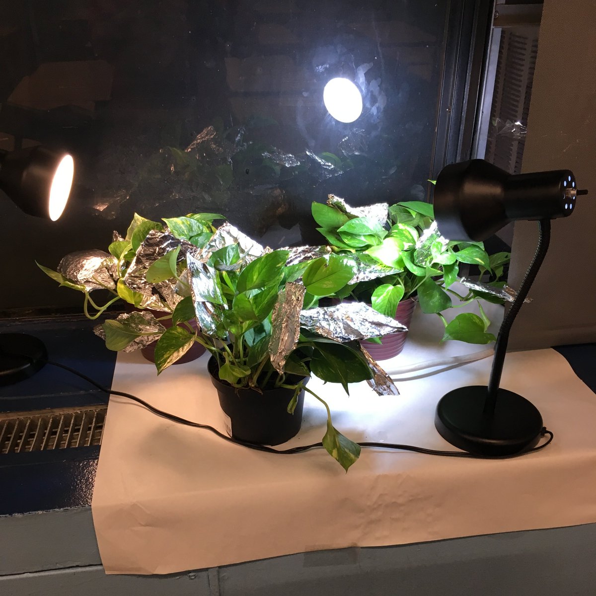 DPEnduranceHS tweet media