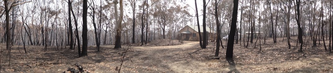 Connoroflocke's tweet photo. Mum took me back to her house in Clarence this weekend.
House and all but one of the sheds are fine but some infrastructure and her garden of 25 years was taken out entirely.
Anything native will grow back but there's a lot that won't.
#bushfireaustralia https://t.co/gKTRGY4XCx