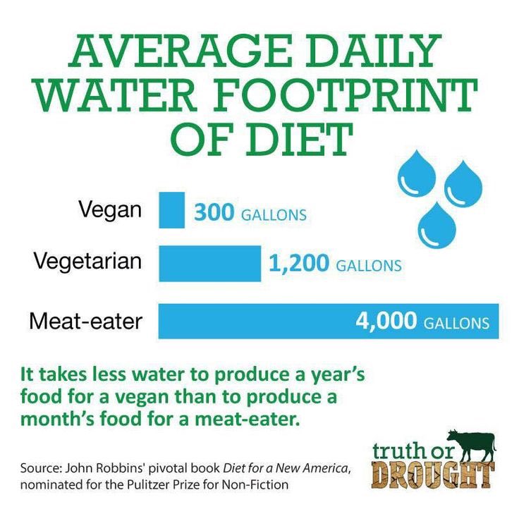 VeganiaA's tweet photo. @RichardDawkins Also, for guests staying more than one night, your requests to conserve water by re-using towels are utterly meaningless when you serve animal products in your restaurants

#hospitality #hotels #GuestTips #environment #ThirstProject #TruthOrDrought #drought #water #GoVegan #diet https://t.co/R9kRzdlwKO
