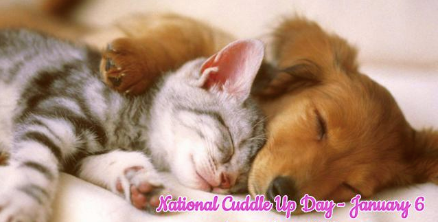 EnergyHealingGA's tweet photo. Cuddling is GOOD energy! Celebrate National Cuddle Up Day by getting the warm and fuzzies snuggling up to the one you love the most!

#goodenergy
#goodvibes
#energyhealing
#wellness https://t.co/jl5DqVBN3W