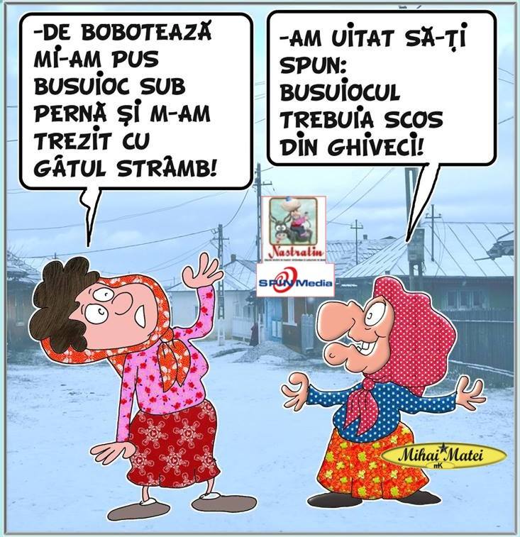 CristiMilla1's tweet photo. #Boboteaza #Romania #desigur #desezon #iarna #busuioc #RO https://t.co/q4c7AfJiyF