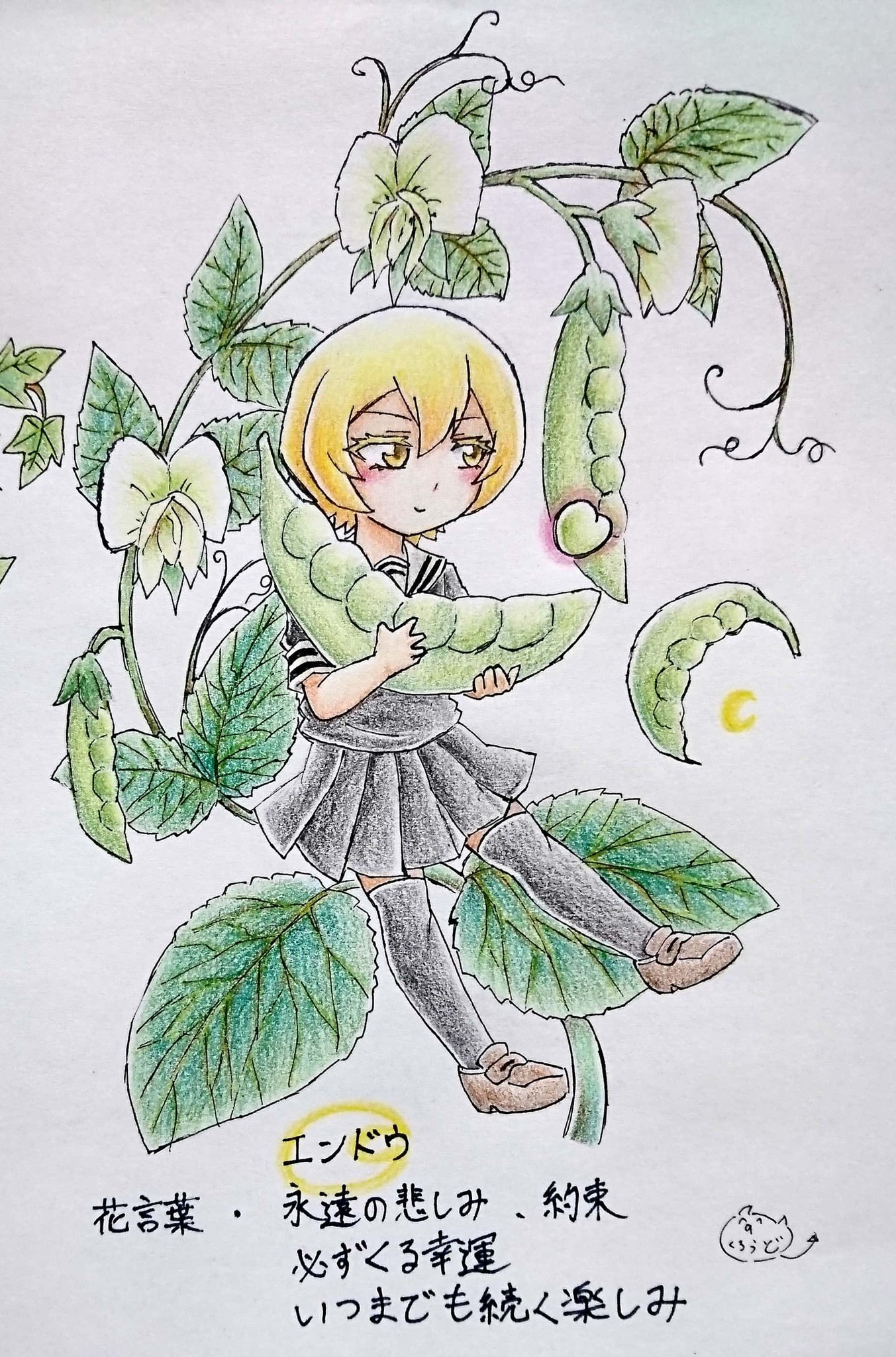 Twitter 上的 ミラ様信者のくろうど Wf23w 7 14 13 学生の時 キャラとそのキャラに合いそうな花言葉を持った花 を描く というイラストにハマってたのを思い出して久々にやってみた 昔から花本体は興味ないし描くのも得意じゃないけど花言葉を調べるのは好きだった