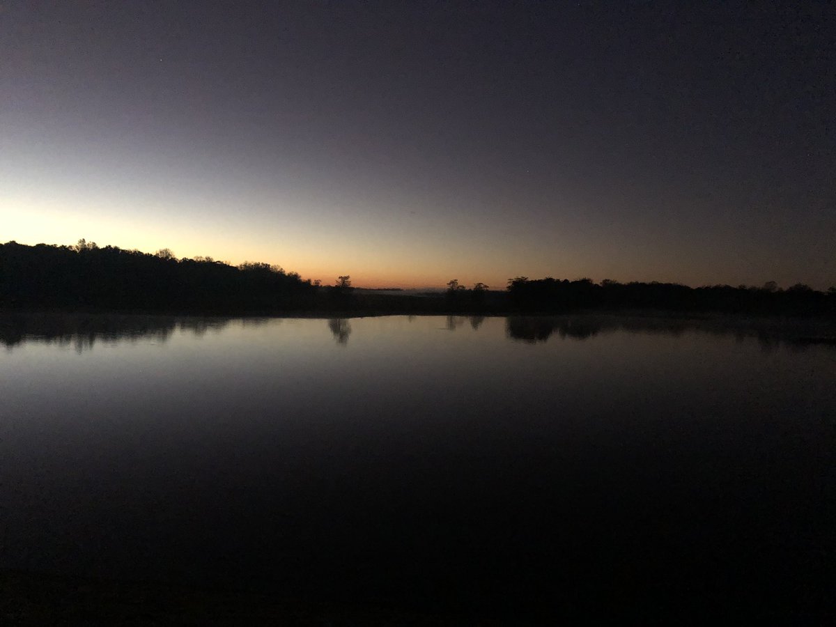 LOATV Show tweet media