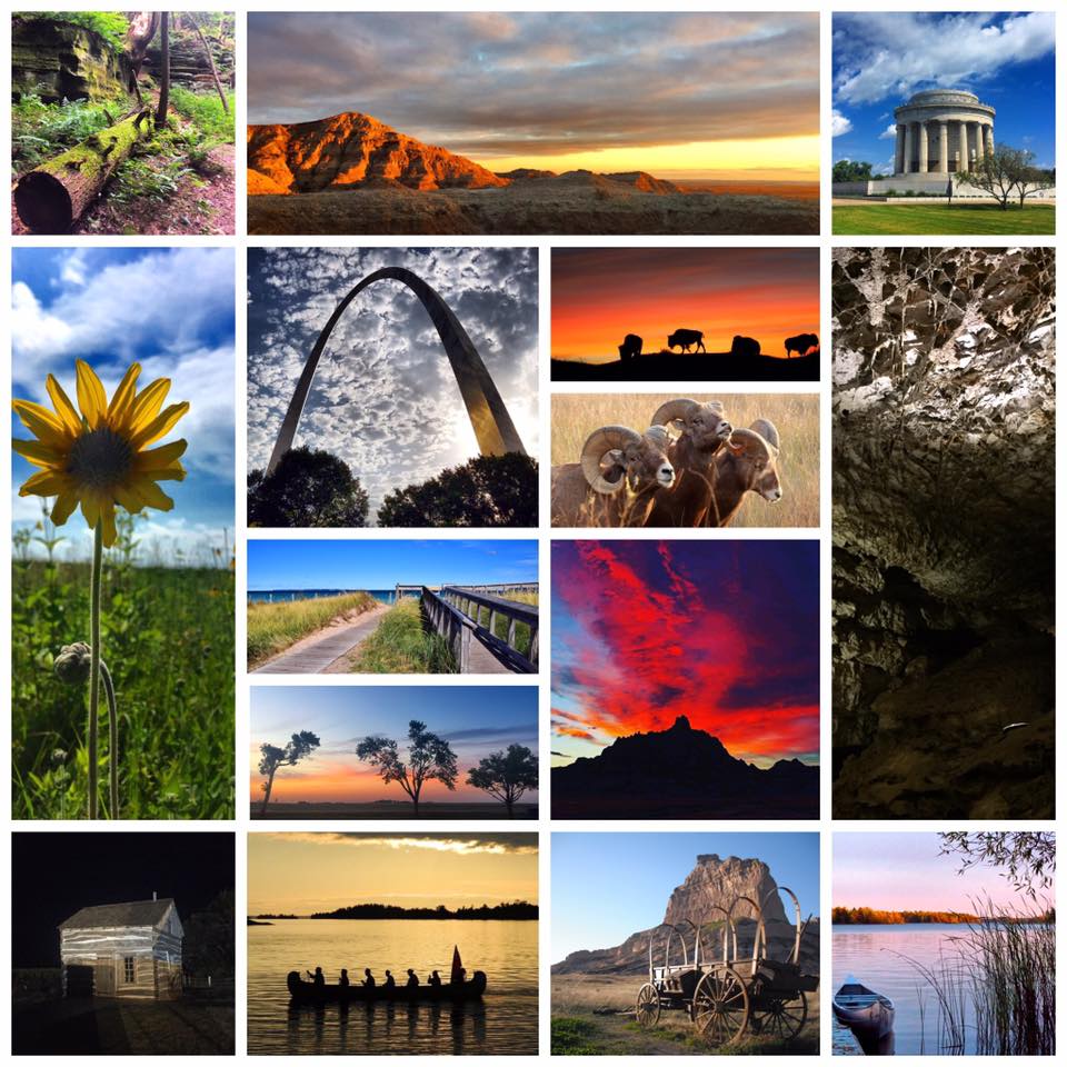 Collage of different park scenes