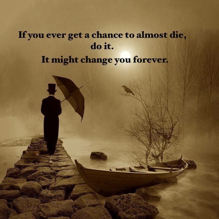 🕵️‍♀️Thinkologist 💎✨💫✨ tweet media