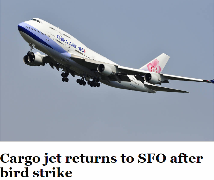 Miltronix1's tweet image. A China Airlines cargo jet bound for Taiwan had to return to San Francisco International Airport Saturday after it struck a bird during takeoff. sfexaminer.com/news/cargo-jet…
Our 3D Bird Radar System is capable of 3D Bird Detection, Monitoring and Deterrence : lnkd.in/drMhfkx