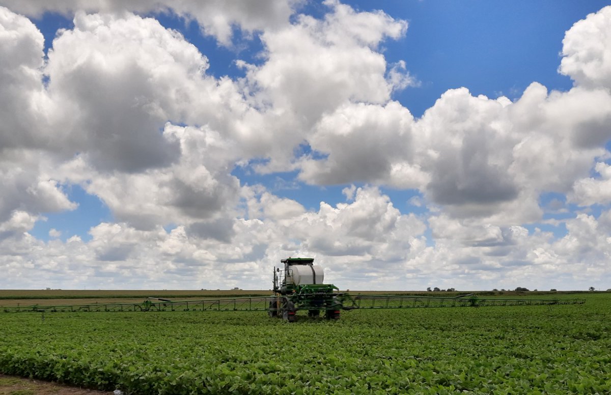 EAPAgrorosario's tweet photo. Acompañamos al Ing. Agrónomo Juan Escalada, ( 2 E AGRO) en un monitoreo de plagas, en un lote de soja, apuntando a obtener una producción de 50 qq por hectárea...Se detectó un ataque de "Megacelis" y se aplicó insecticida para neutralizar dicho ataque. Lote en Colón (B). https://t.co/cgxojHy7oy
