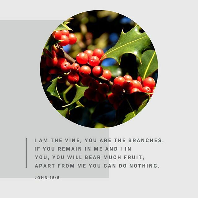 MBCphotos's tweet photo. Discovered cool app #biblelens to add memory verses to my photos Forget Photoshop! https://t.co/9TUfEKpOBE https://t.co/KzuJvVEXDj