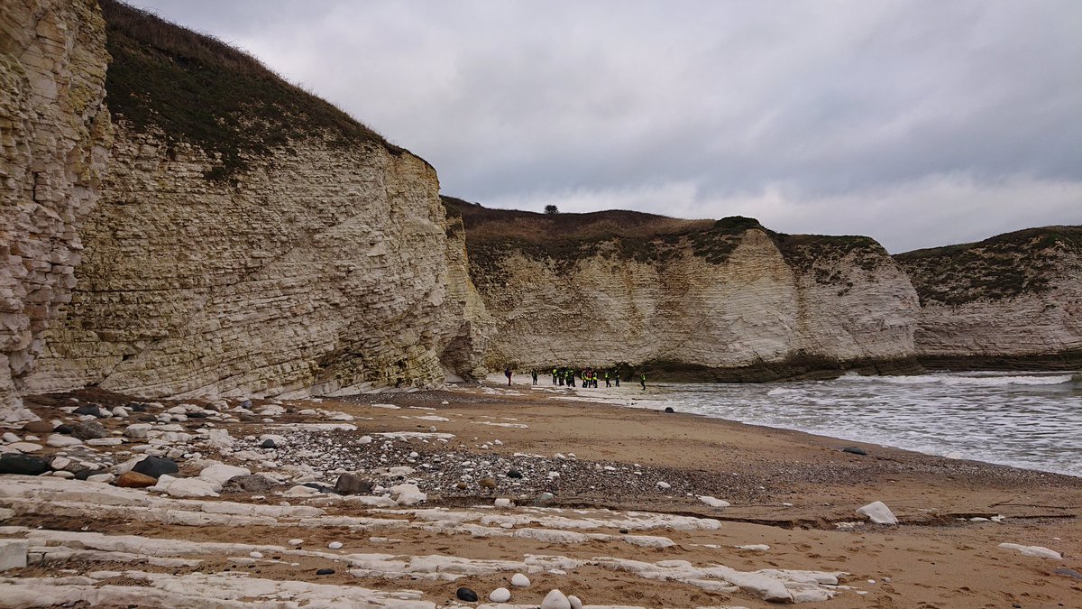 Those little hi-vis dots are a happy little group of structural geologists getting to grips with the back/forth/ups/downs of the Flamborough Fault zone. #ItsTSGforMe #TSG2020
