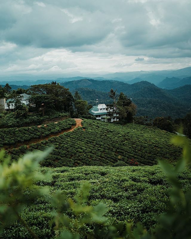 DAP_Club's tweet photo. God’s Own Country ⛰ .. #wanderslutindia .
.
.
#indiaclicks #indiapictures #indianphotography #india_undiscovered #_coi #snapseedindia #pulpkey #visuals360 #indianphotos #moodygram #indiatravelgram #moodydelhi #moodyindia #indiangrams #streetgramers #unsplash #bealpha #beauti… https://t.co/cMLruSDxm3