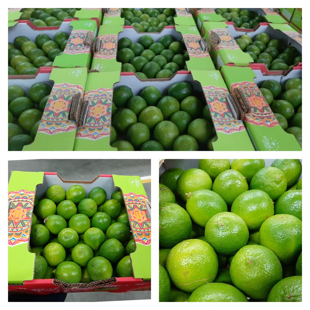 Regular arrivals of top quality limes available!
please contact us for the best prices.😉

#vitaaleurope #limes #nationwideproduce