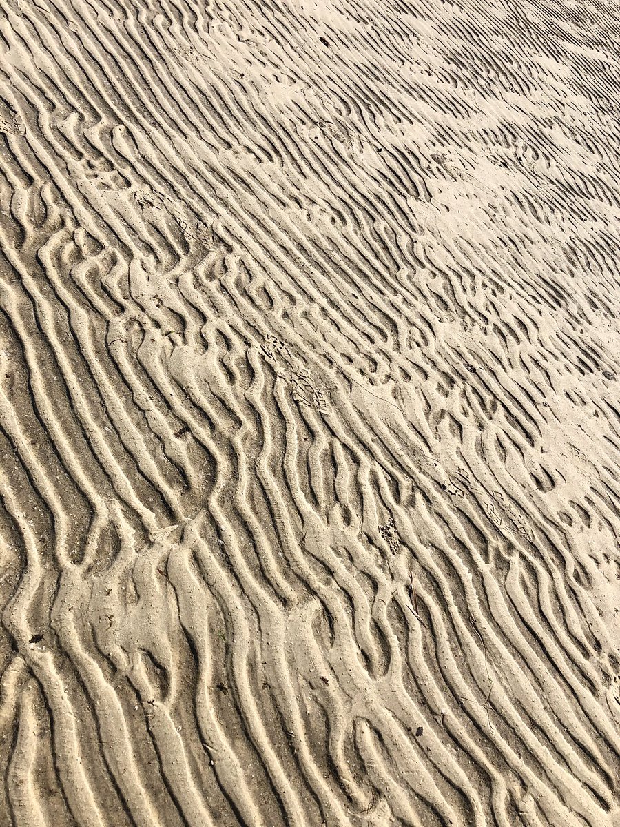 Beach_Express's tweet image. Nature is amazing @CrystalRiver_FL #fortgulfbeach #floridabeaches