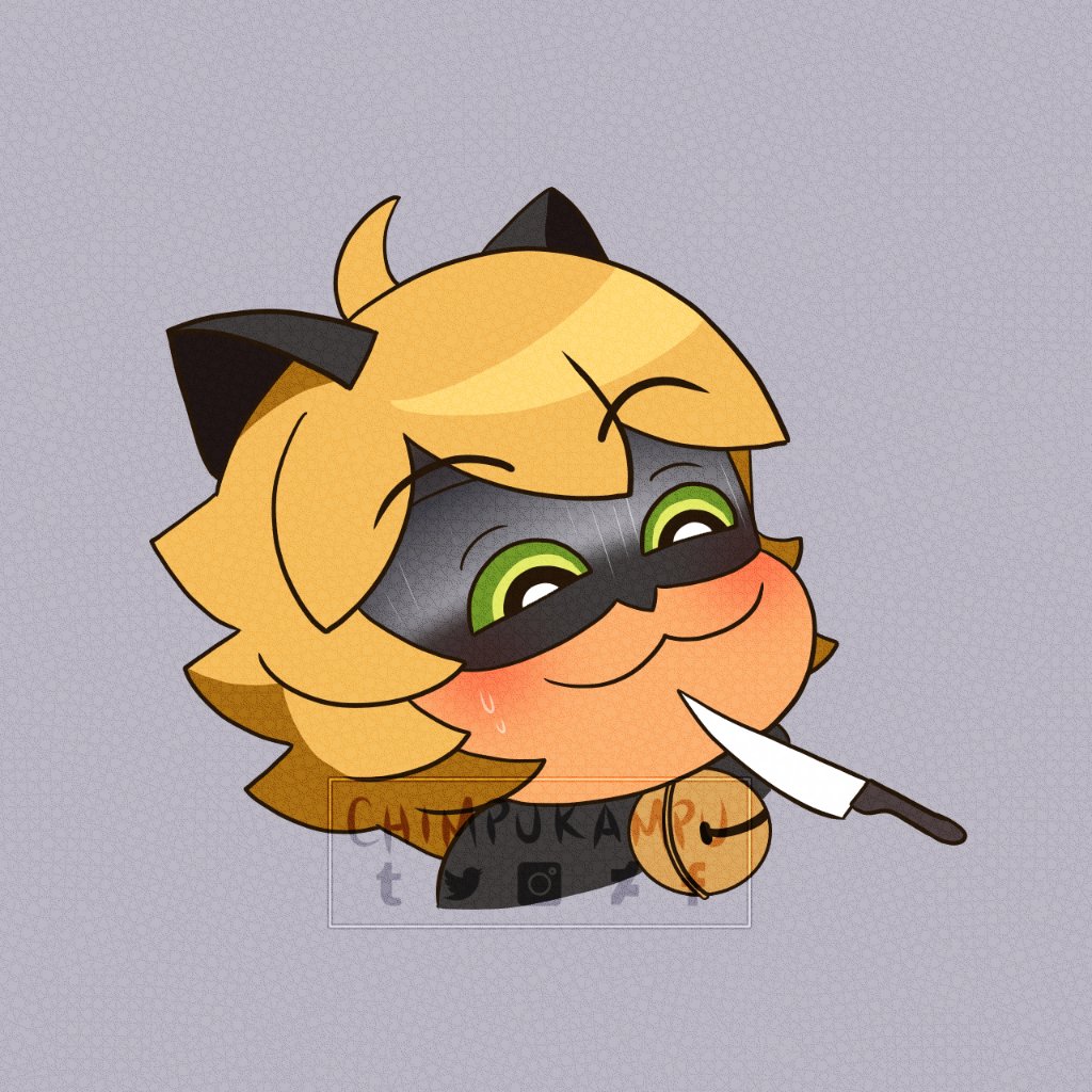 Chatnoir Hashtag On Twitter