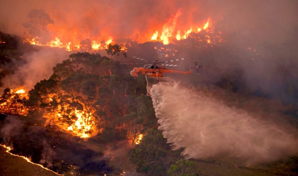 Aun_daha's tweet photo. Almost 15 million hectares burnt, 1400 homes destroyed &amp; 500 million animals have been killed by bushfires in Australia so far. Nature cries. It may not be our continent but it's our Planet. Sending prayers, hope, love, positivity. ❤️
#PrayForAustralia 🙏🏼 https://t.co/ooTfMHe3GK