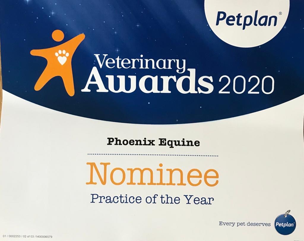 phoenix_equine's tweet photo. Look what we got through the post! Some more Petplan Nominations! Not only have we been nominated for Practice of the Year but Claire and Ellie have also been nominated, we are chuffed to bits that our clients value the hard work we put in. Congrats Ellie and Claire! #teamphoenix https://t.co/gW0WqZeD3P