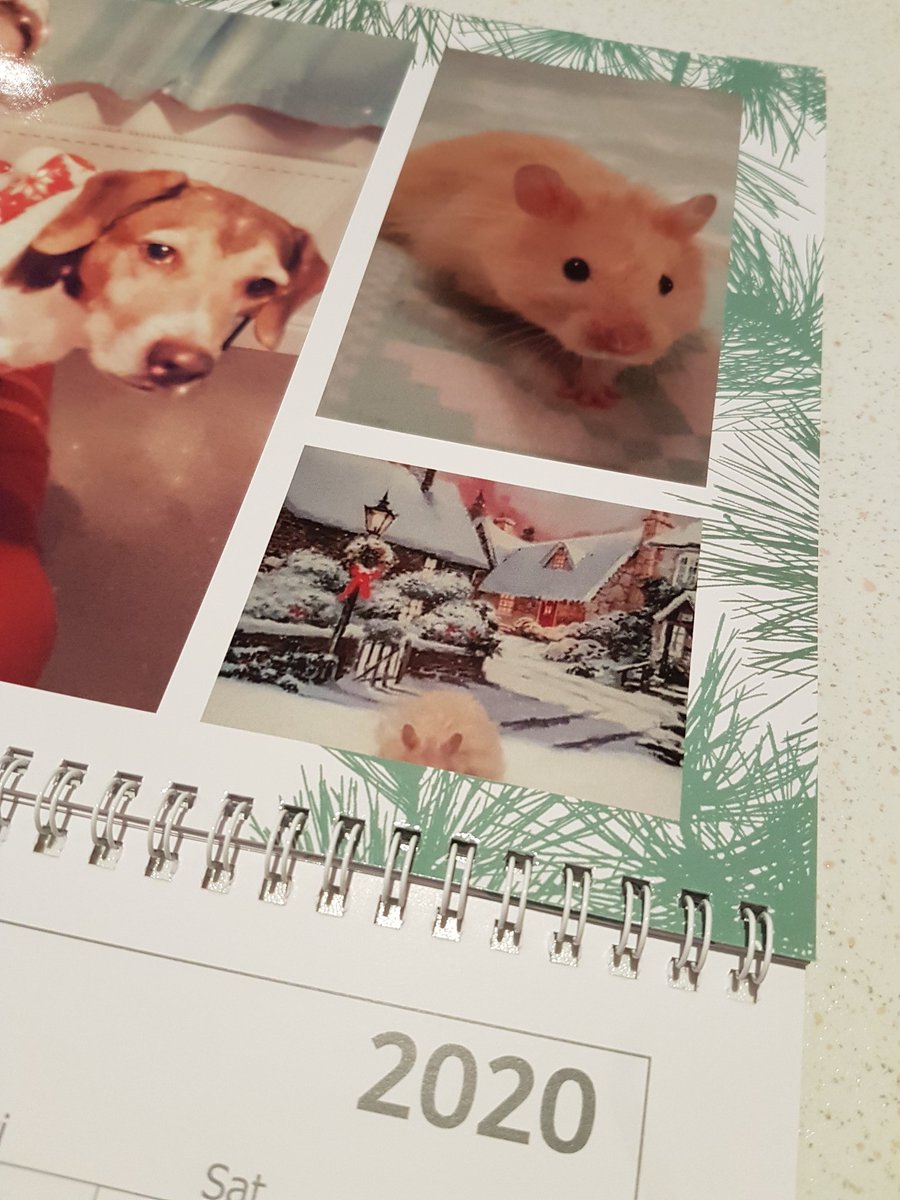 ClareB_'s tweet photo. @Vistaprint So a couple of pics have changed and cut half the photo off 😱😭 ???? https://t.co/zLnu5oBQA1