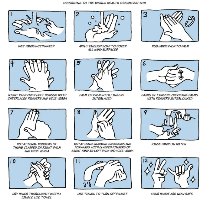 St_ElizabethsHC's tweet photo. With cold &amp; flu season underway it's really important to wash your hands. Sanitary hands make sure you get any unwanted material and germs off before they make you sick. The WHO says the entire process, from getting hands wet to turning off the faucet, should take 40-60 seconds. https://t.co/k7PA7olZrt