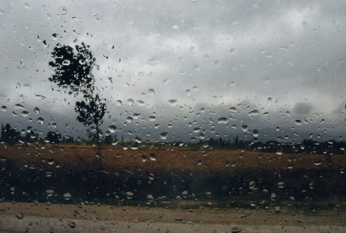 Jopolkadot's tweet photo. “Talk to me like the rain and let me listen”

Tennessee Williams

Photography © Abbas Kiarostami ~ Wind, Rain, Glass https://t.co/Leo7FXXSjL