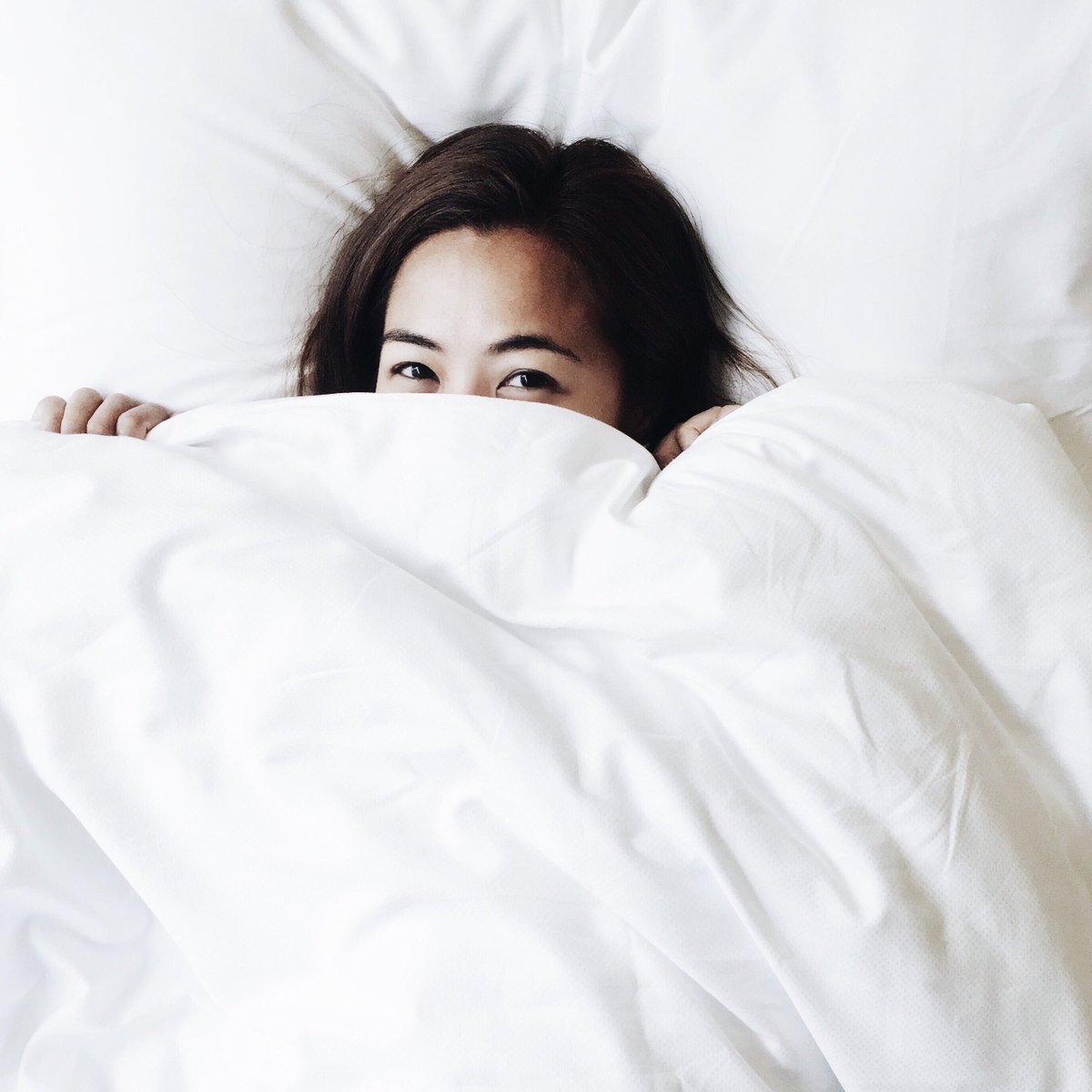 Hotel Alessandra tweet media