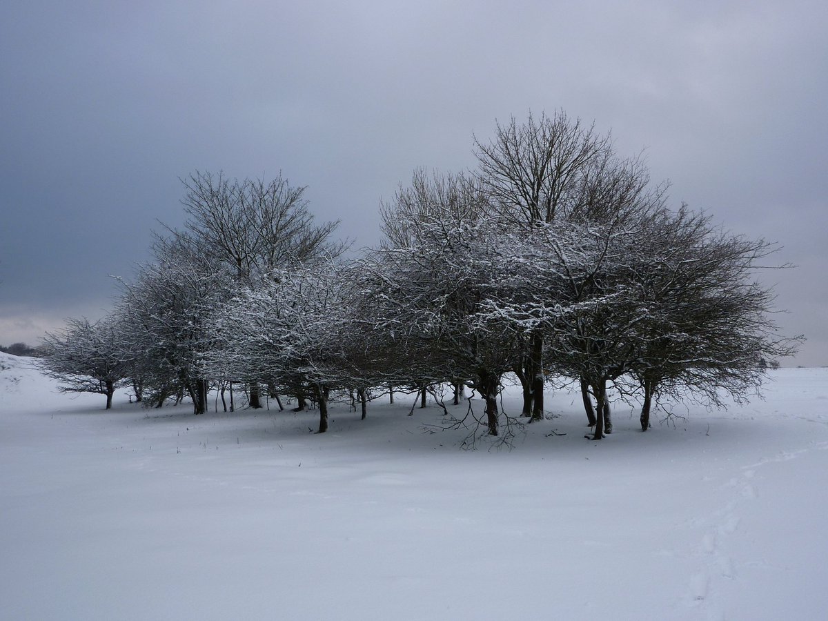 Ten years ago today - deep snow at RAF Harrowbeer on Dartmoor, 6 January 2010. #dartmoor #devon