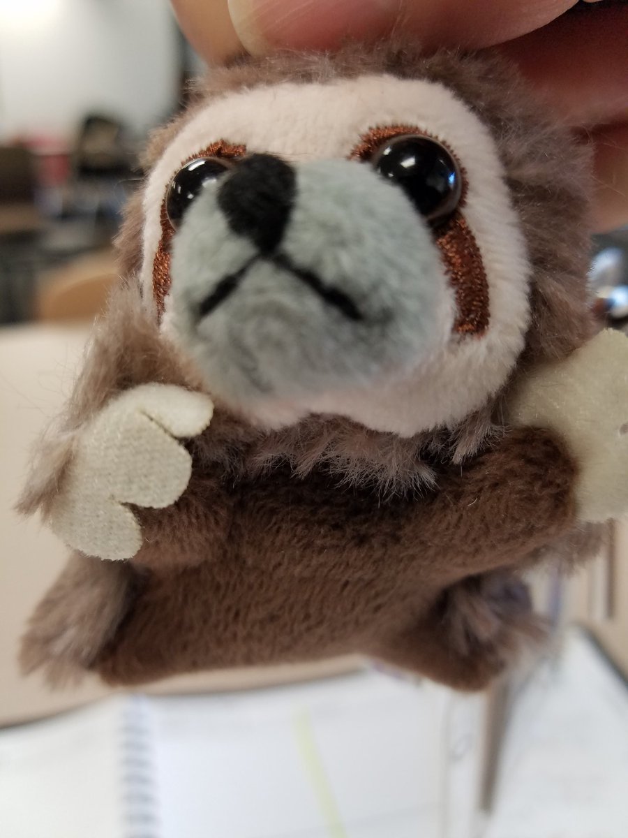 MsBowmansRoom's tweet photo. When a student thinks of you on his trip to #CostaRica you feel ❤! #onthehil #ifonlyitwasreal #middlehawks https://t.co/Y0SZxFqyDG