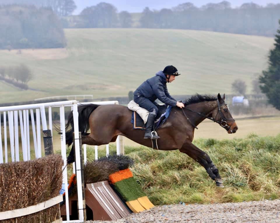 wickhamwicks's tweet image. @LeglockLuke So sorry to hear about dear Eric. What a life you gave him &amp;amp; what great days out he gave you #RIPERIC #HAPPYGALLOPINGINTHECLOUDS