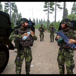 Photo by Swedish Forces Pack (@sfpmod)