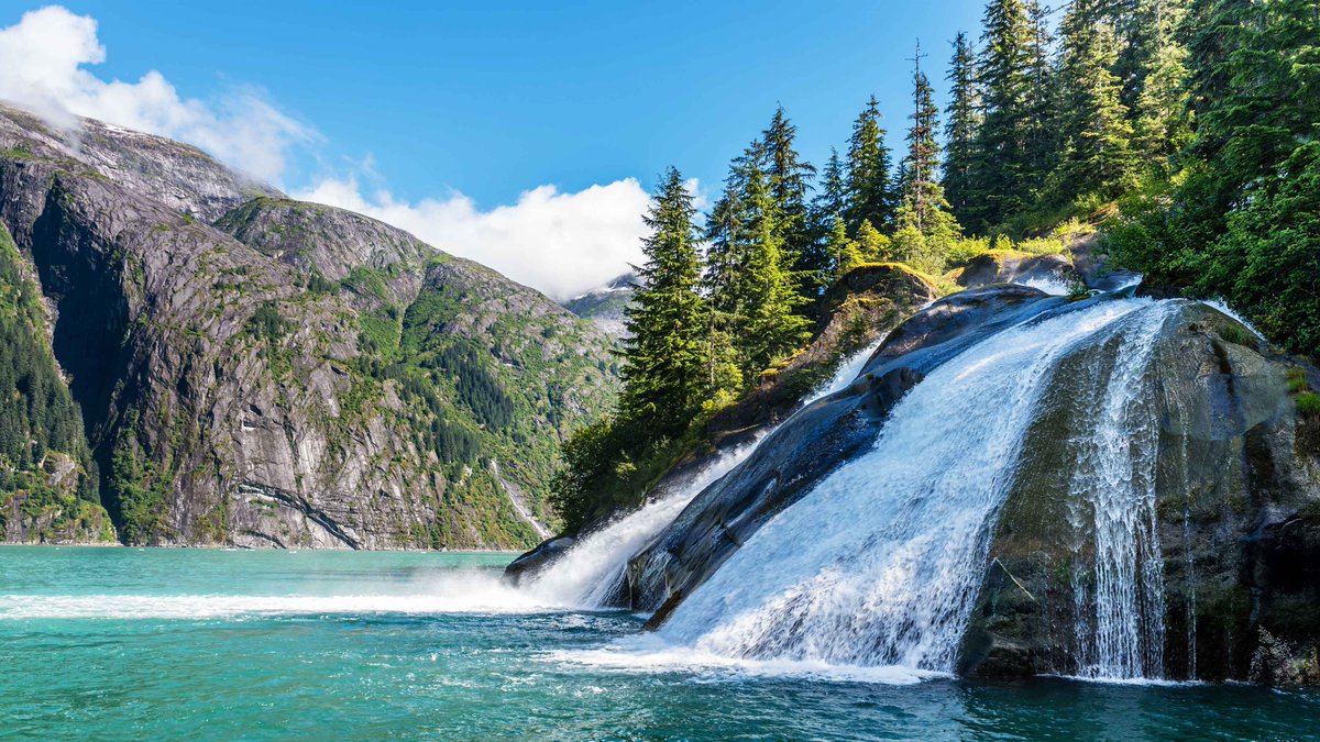 ABATracyArm's tweet photo. Did you know, that the  Tracy Arm Fjord is an active tidewater glacier, meaning that pieces of ice still break off? Remains a  classic fjord, that stands out as a MUST see for any Alaska vacation! #AdventureBoundAlaska #TracyArm #Alaska https://t.co/j9c23GNUVT