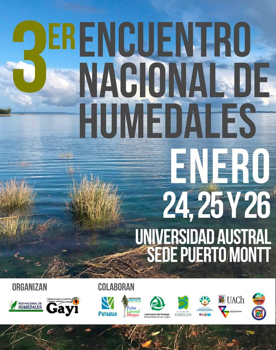 3er Encuentro Nacional de #Humedales Chile 24, 25 y 26 de enero en Puerto Montt consultas ➡️ humedaleschile@gmail.com

@MMAChile @RamsarConv @martharojasu1 @CarolaSchmidtZ @UAustraldeChile @campephilus