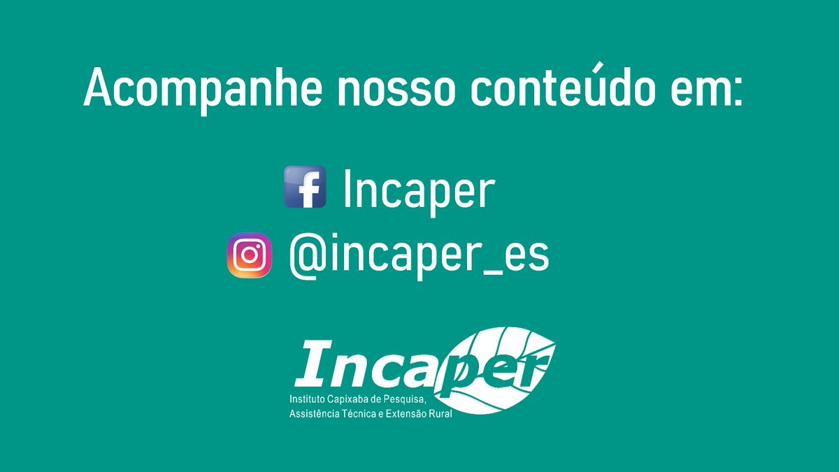 Incaper's tweet image. Vamos dar uma pausa por aqui! 😉