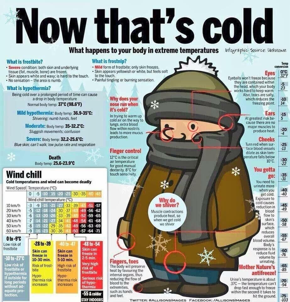 KamloopsSAR's tweet image. Some interesting (&amp;amp; important) information about your body &amp;amp; cooler temperatures #Kamloops #searchandrescue #BCSAR (JS)