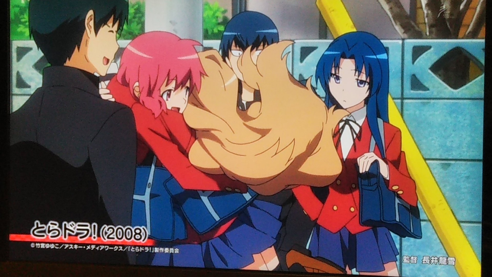 つなかび つなブシgeneral Sur Twitter とらドラ 狩野すみれ 逢坂大河 Nhkbsプレミアム 19年1月1日放送分より あけおめ声優 あけおめ声優大集合 T Co P8xfvodd2j Twitter