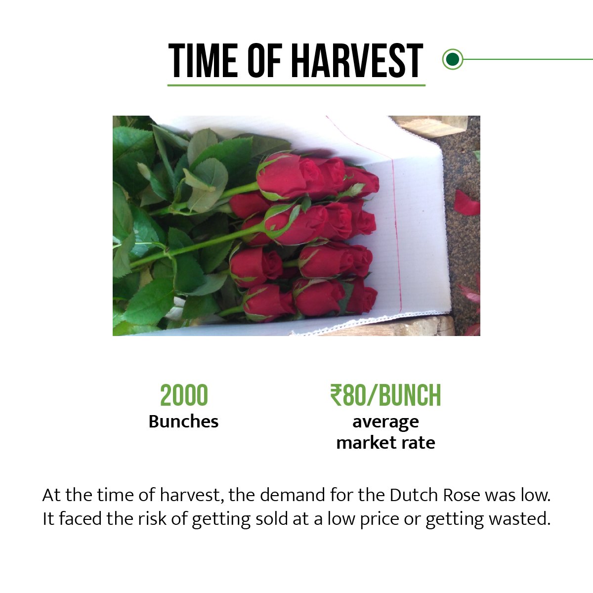 EcozenSolutions's tweet photo. Flowers are difficult to maintain, but with #Ecofrost, you can store flowers for longer duration and keep the freshness intact.
Here's a #EcozenCaseStudy of how a user could maintain the freshness of their Dutch Flowers for 20 days and earn great profit!
#Ecozen #Farmer #India https://t.co/E6L14kjacV