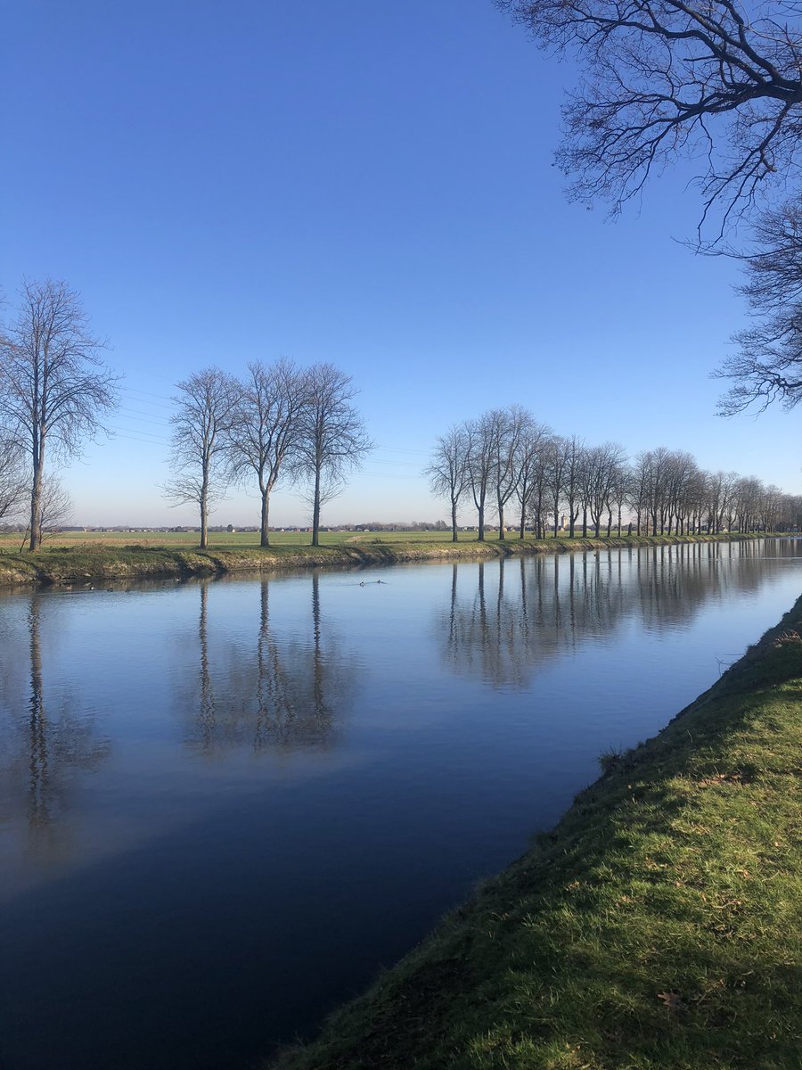 ingeclijsters's tweet photo. Blauwe hemel en zon!
Blau, onze hond.
Wandelschoenen en een flesje water.
 
De ideale combinatie voor een activiteit tijdens mijn detox.

Wil je meer weten over deze detox... doe me gerust een bericht en ik zorg je meer info!

#gezondinvesteren
#feestkiloseraf https://t.co/fBlOsQ2BQA