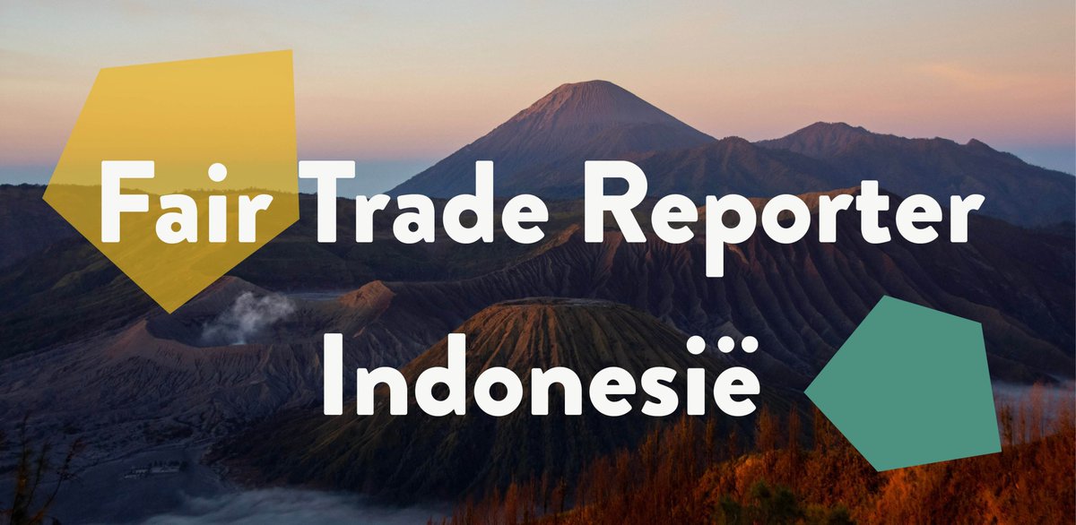 We zoeken een Fair Trade Reporter die 4 filmpjes wilt maken op een groepsreis naar Indonesië. Wij vergoeden de reisonkosten. Check karavaan.be/fairtraderepor…