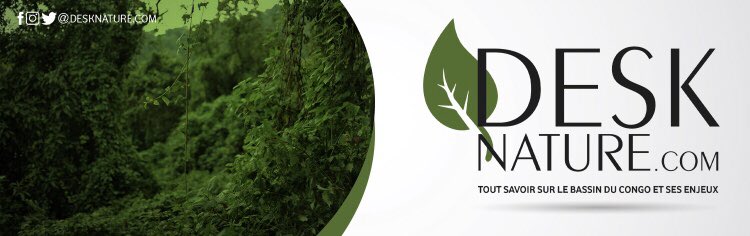 Next Corp Nextcorpcd Twitter