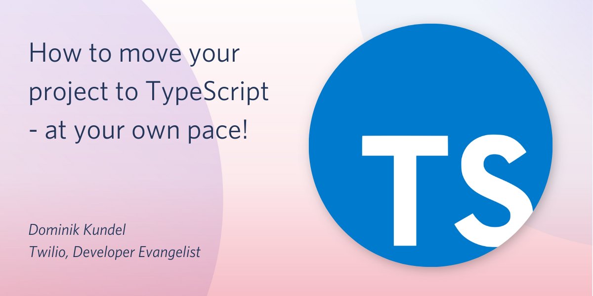decorative header image saying "How to move your project to TypeScript - at your own pace"