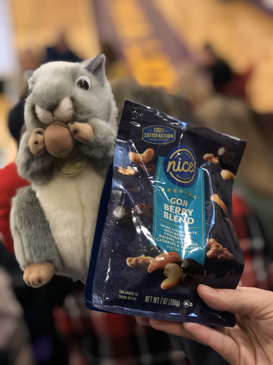 NuttyAdventure's tweet photo. I need snacks so I can be professionally developed 🥜🌰 https://t.co/euUFNe22Mq
