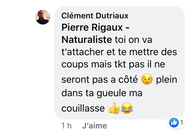 Pierre Rigaux tweet media