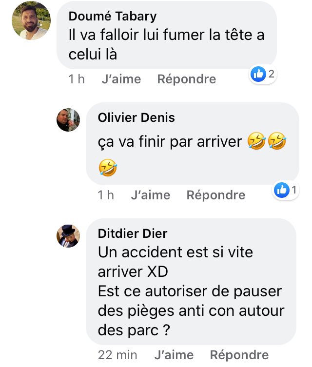 Pierre Rigaux tweet media