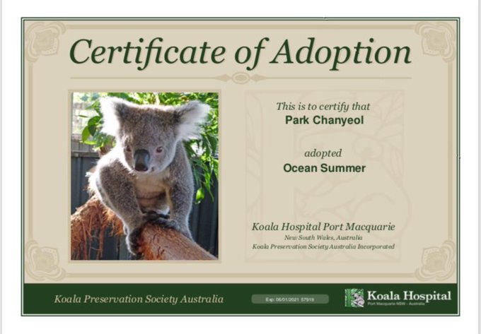allkpop's tweet photo. [UCC] #EXO Chanyeol's fans raise awareness towards Australia Fires by adopting a Koala https://t.co/2ucceOnSQ0 https://t.co/LFyrqW9SvO