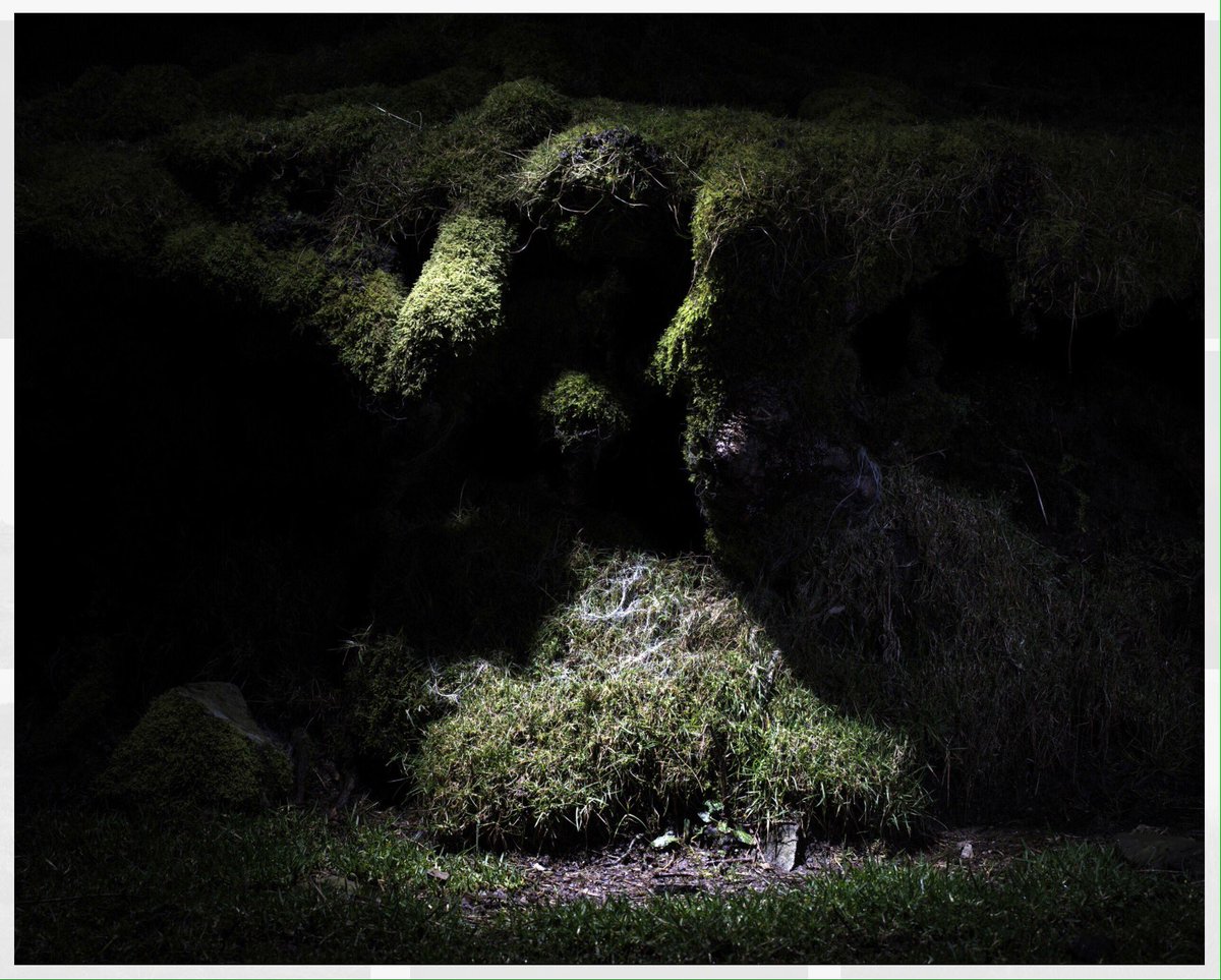 grainphotohub's tweet photo. We are looking forward to an exciting 2020 with lots of fantastic projects, commissions & exhibitions incld @Mr_MMurray #Arenig exhibition at @LacockNT from June #LacockAbbey #foxtalbotmuseum #nationaltrust @ace_midlands @edandadphoto20 @ElliottHallsAMS https://t.co/5gJwO9nUYW