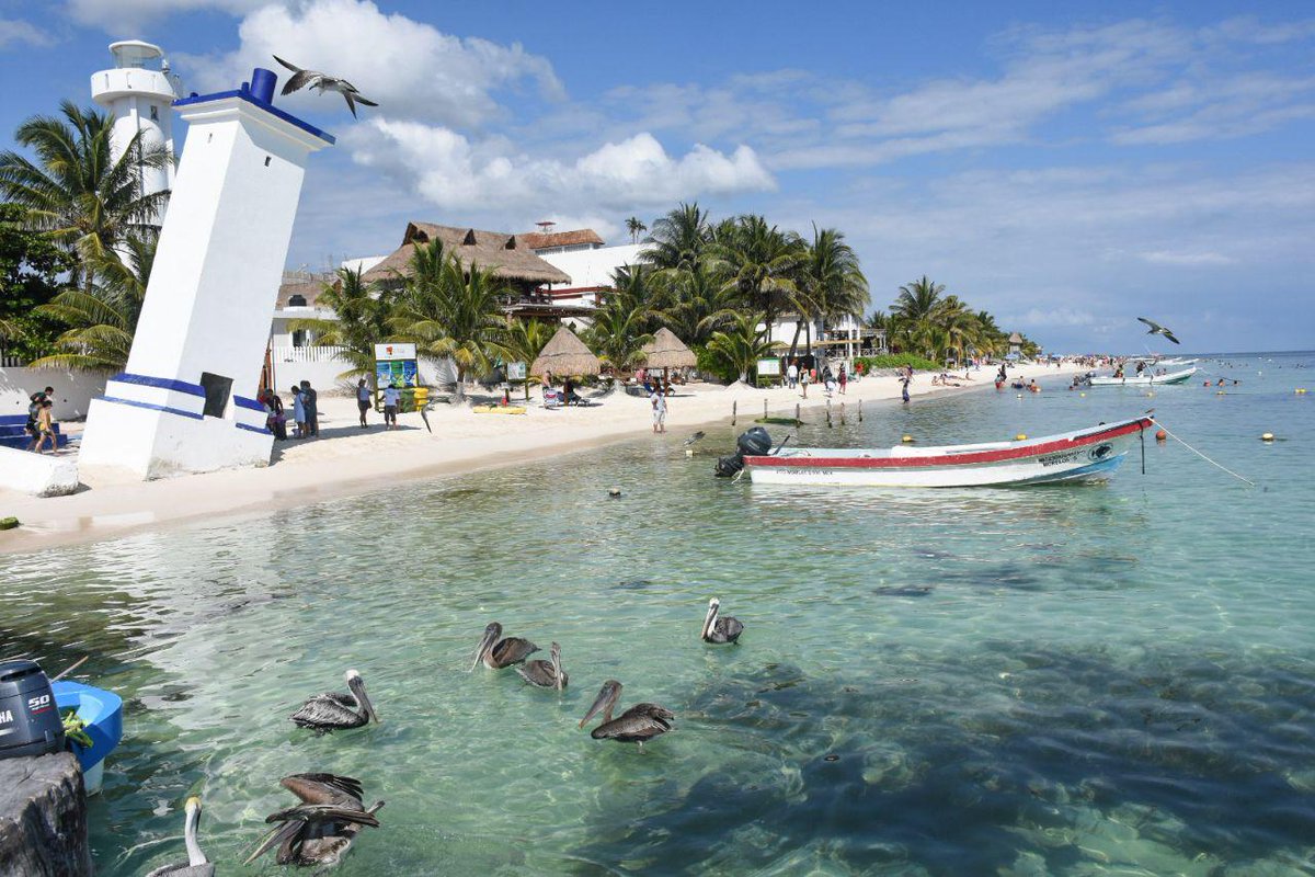 PtoMorelosAyto's tweet photo. ¡En solo cuatro años alcanzamos un histórico posicionamiento turístico a nivel mundial! 

Nos hemos convertido en un un sitio favorito en el Caribe Mexicano, mostrando al mundo un amplio abanico de nuestros atractivos turísticos. @LFpuertomorelos https://t.co/NIR6LQd7NV
