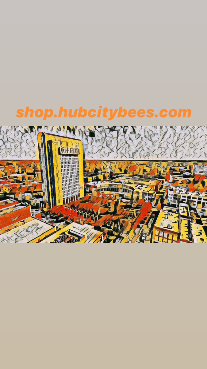 Hub City Bees (@hubcitybees) on Twitter photo 