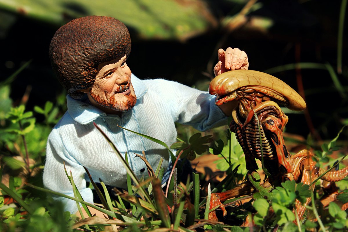 WaitingforRetooledPredalien tweet media