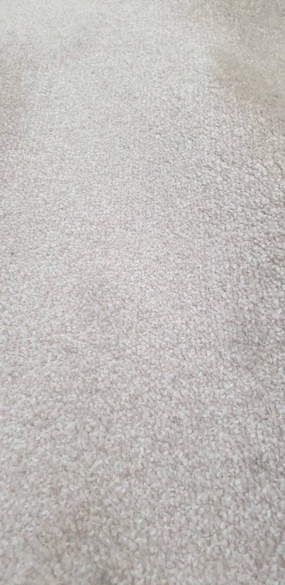 ARC Flooring and Carpets tweet media
